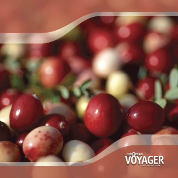 voyager cherries