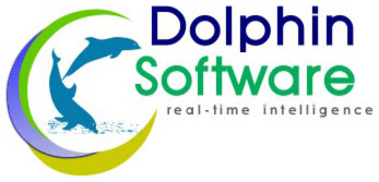 dolphin software logo design